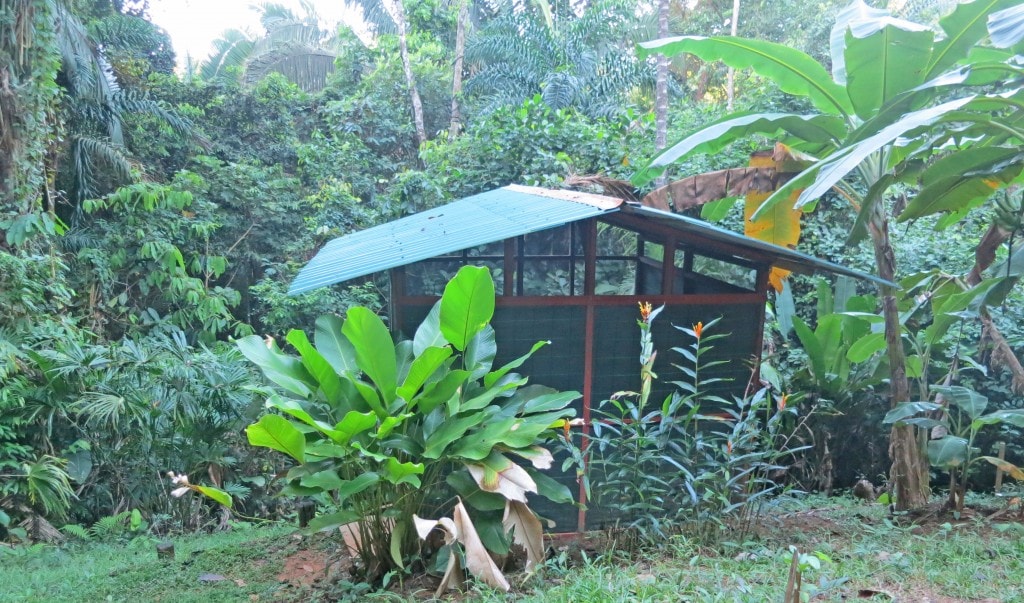 Jungle Camp - Wilderness Inquiry