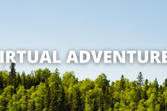 The words 'virtual adventure' in white text over a photo of a pine tree forest against a blue sky