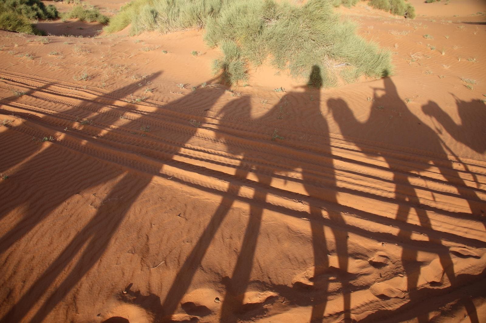 IMG-20250427-WA0011