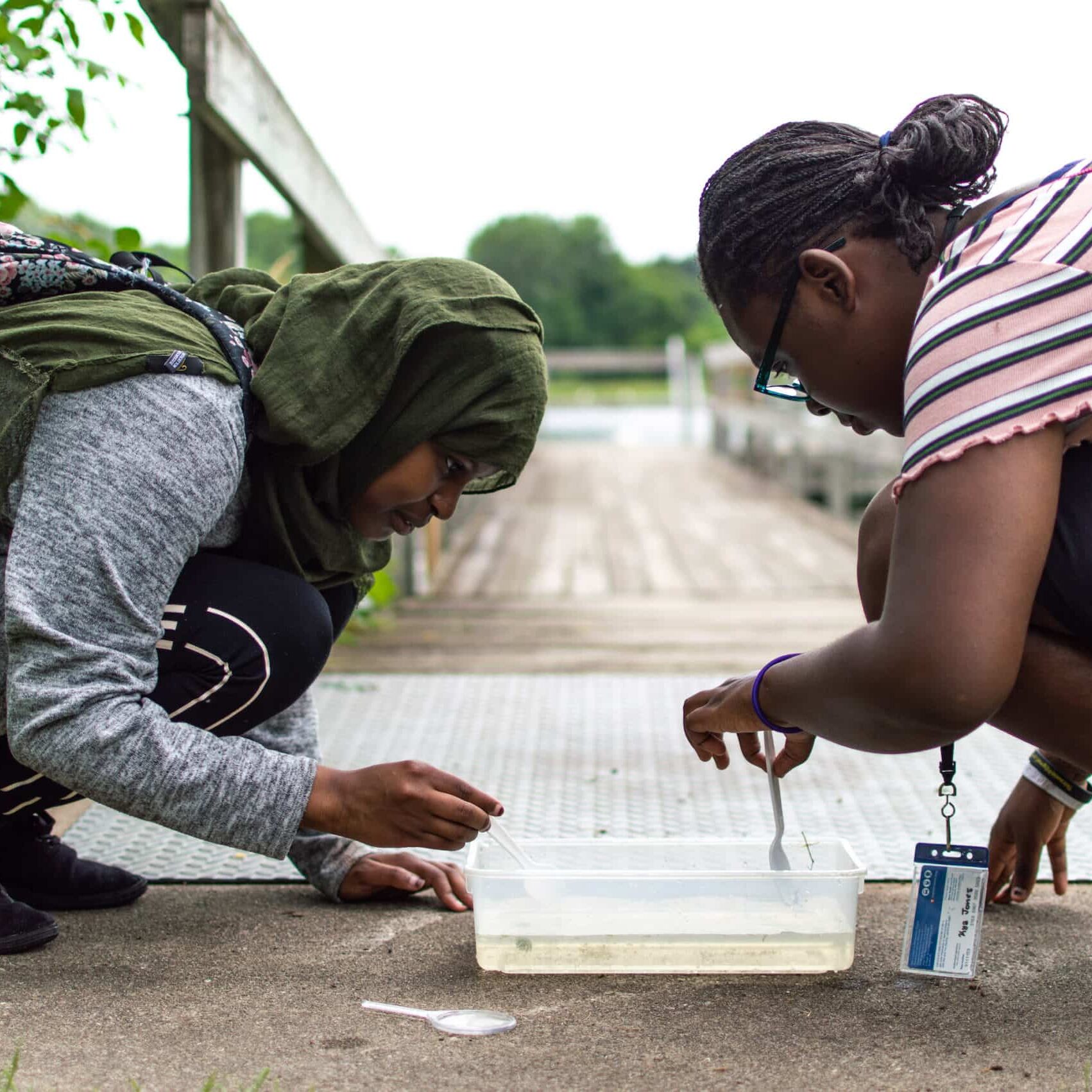 2019 Annual Report option - LCCMR