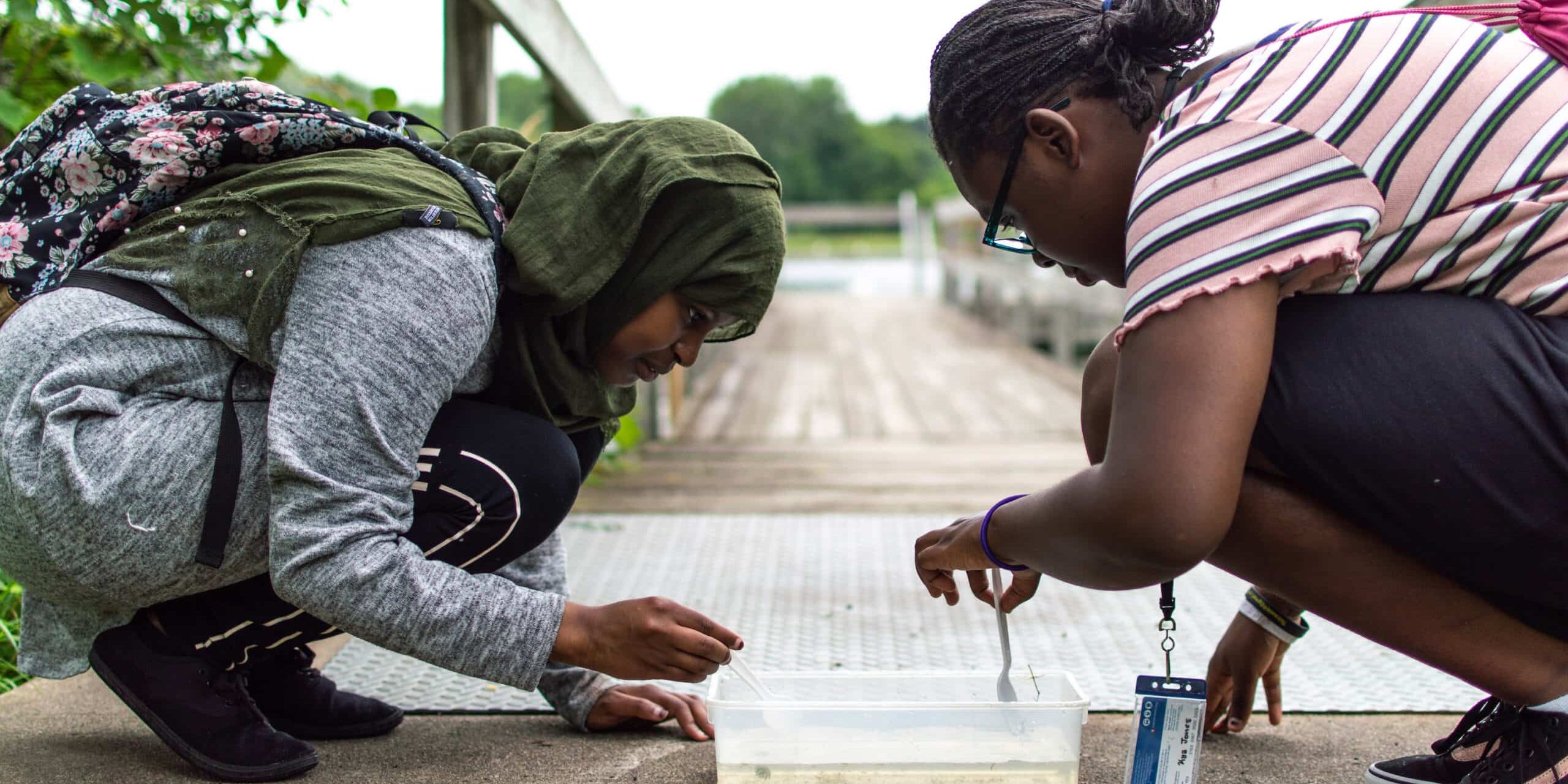 2019 Annual Report option - LCCMR